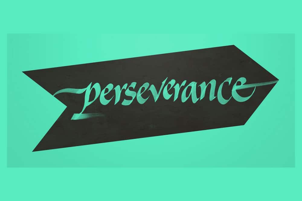 "perseverance network"